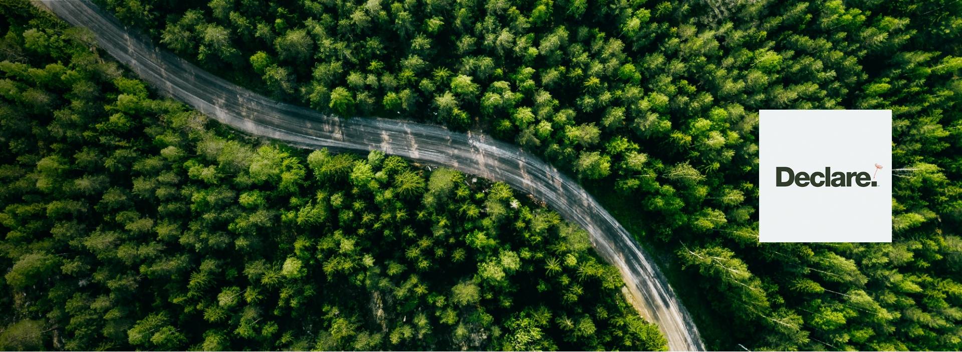 Transparent label of materials