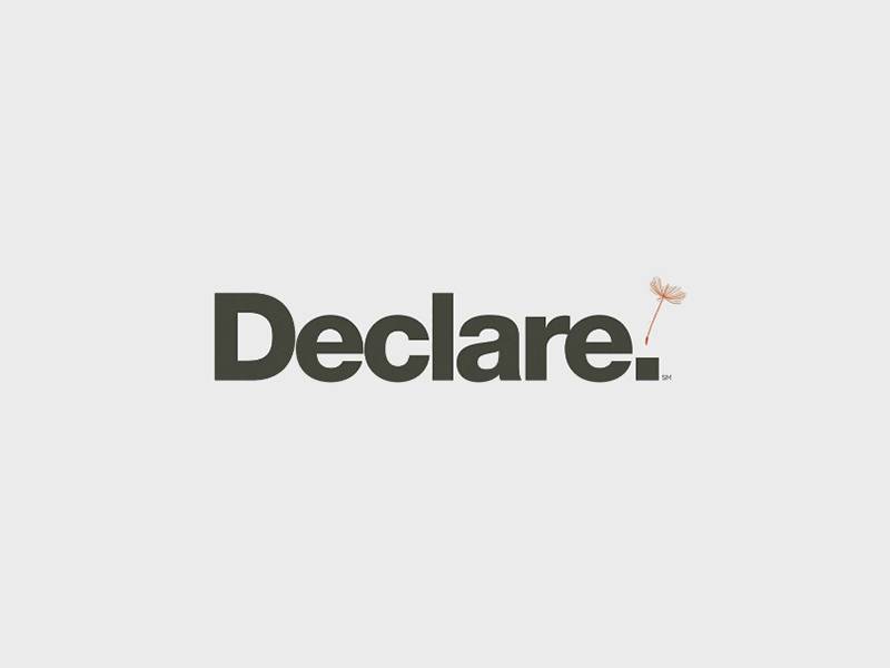 DECLARE